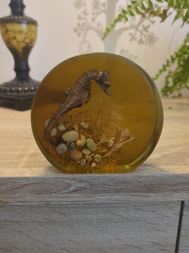 Vintage amber resin seahorse - amber,