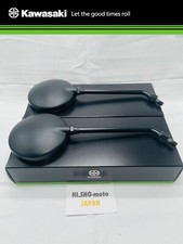 OEM Genuine Kawasaki Rear view