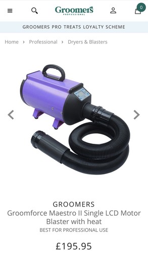 Groomforce maestro single - maestro, ii