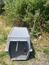 Pet Dog carrier container / transport cage external dims  60 x 90 x 67 cm Large