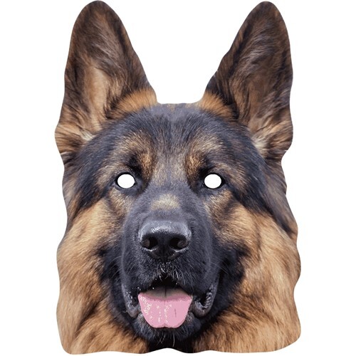 German shepherd alsatian - german,