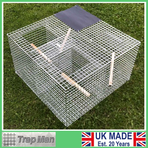 Larsen trap humane - larsen, cage