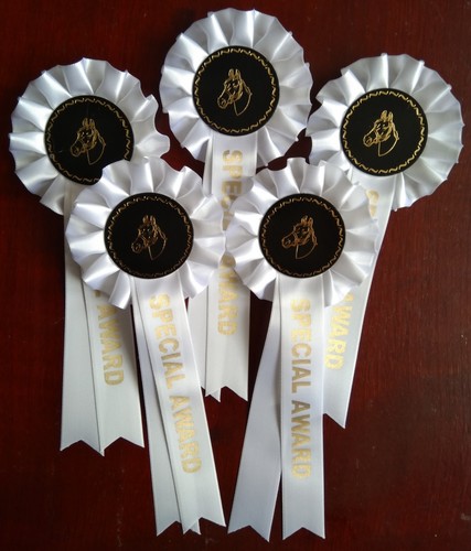 Special award rosettes - rosettes, in
