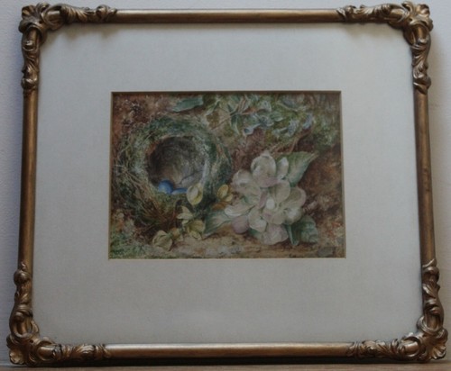 Thomas collins 19thc bird - thomas,