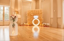 Pampas Wall Curtain To Hire Occasion Backdrop Decoration Yorkshire