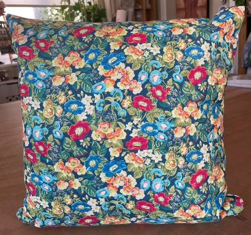 Blendworth hermoine apricot - blendworth,