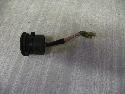 Suzuki outboard motor later