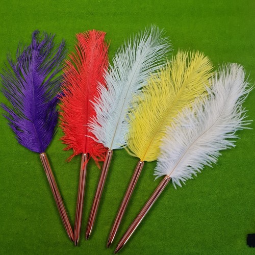 Ostrich feather wedding guest - ostrich,