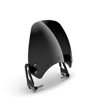 Genuine Royal Enfield Tinted