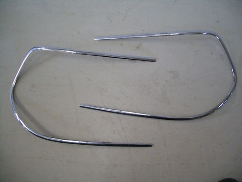 Jaguar type series - jaguar, 3