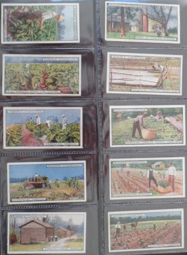 From plantation smoker - from,