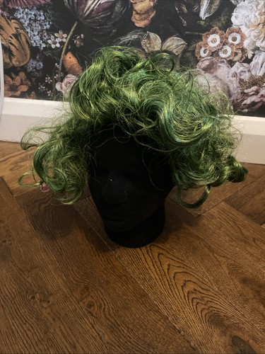 Fancy dress wig willy - fancy,
