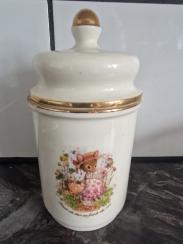 Crown devon storage jar - devon,