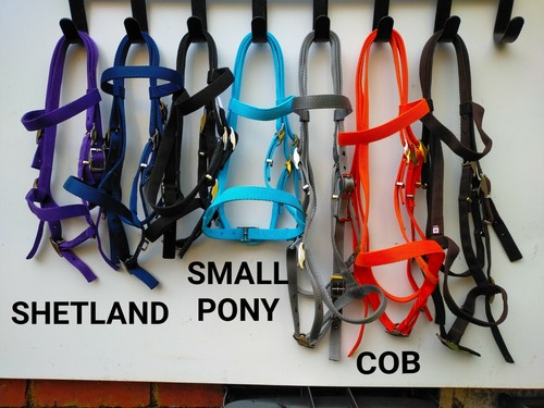 Bridle shetland small pony - bridle,
