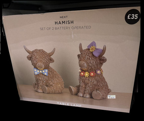 Next natural hamish - hamish, the