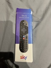 New sky voice - sky, q