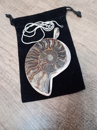 Polished ammonite real - polished,