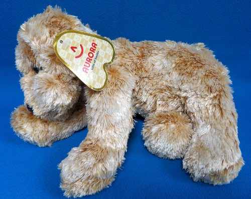 Golden retriever floppy - floppy, puppy