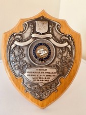 🏆 Vintage Shield Silver