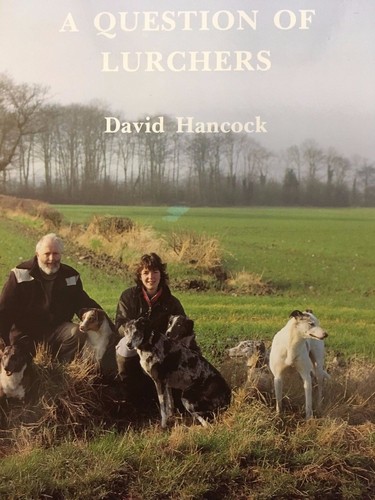 Question lurchers - a,