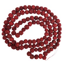 Smallest And Rare Rudraksha