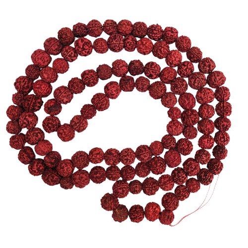 Smallest and rare rudraksha - smallest,