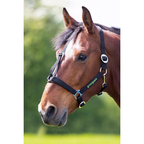 Shires greenguard headcollar - greenguard,