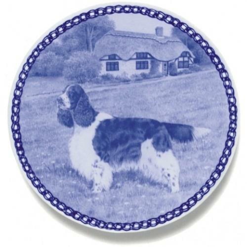 English springer spaniel - english,