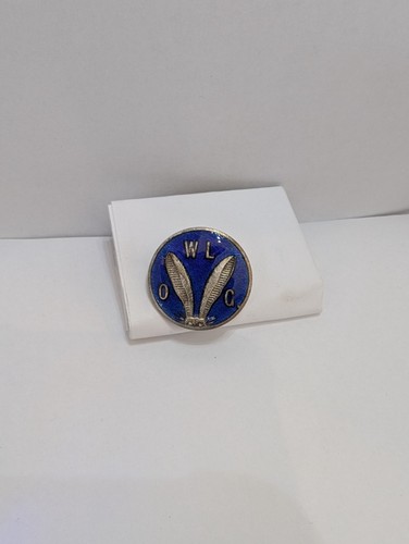Vintage blue enamel pin - vintage,