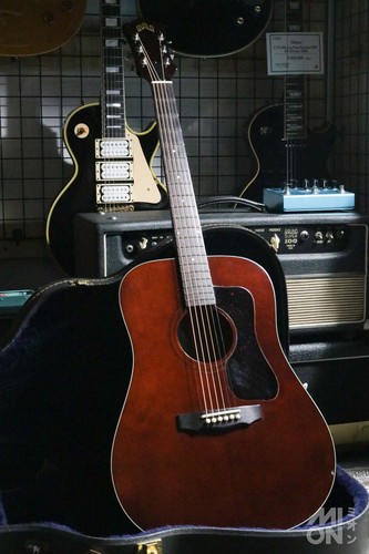 Guild d25m 1979 - used, acoustic