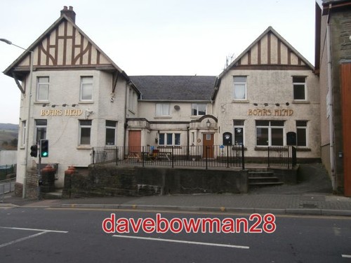 Photo the boars head - the,
