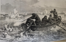 ILLUSTRATED LONDON NEWS ILN War - Herzegovina TURKEY Arctic PANDORA JUL-DEC 1875