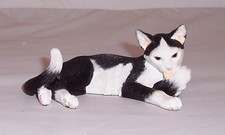 Country Artists Cat lying on