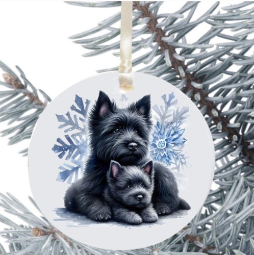 Cairn terrier hanging - terrier,
