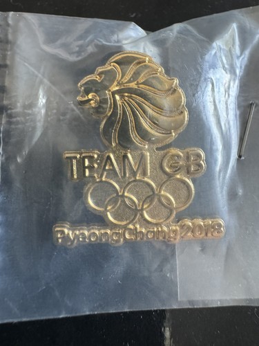 Team pyeongchang 2018 - pyeongchang, pin