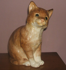 The James Herriot Country