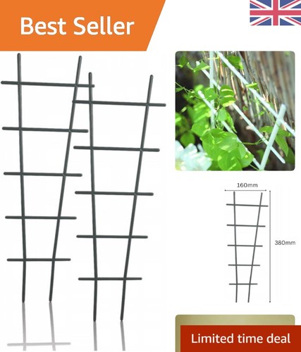 Set modern plant climbing - of,
