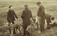 Rochford Hundred Hare Coursing