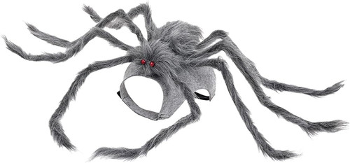 Spider dog clothes - clothes,