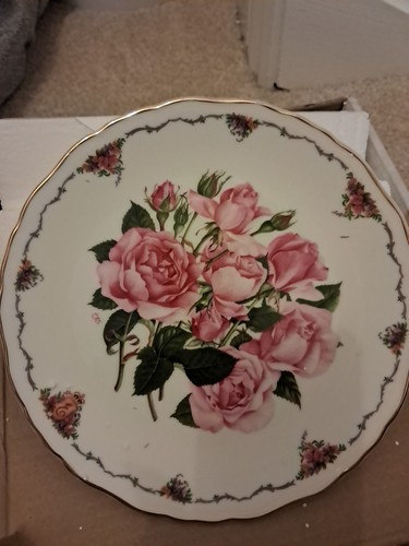 Royal albert the queen - royal,