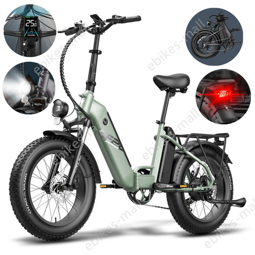 Fafrees electric bike 0 - fafrees, 20*4.0"