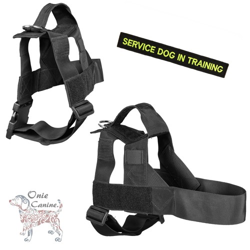 Onie canine search - onie, harness