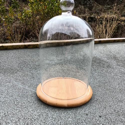 Glass bell jar dome - bell,