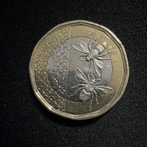 2023 one pound coin - one, (£1)