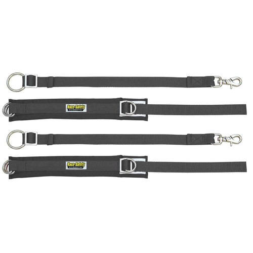 Rsa sfi approved arm - rsa,