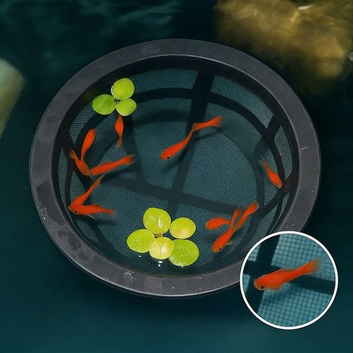 Fish fry cage aquarium - fish, filters