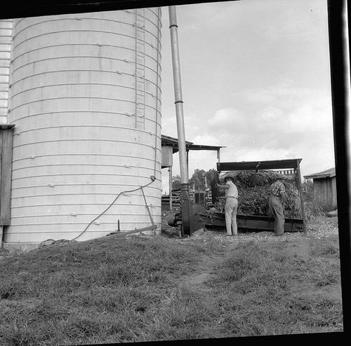 1960s photo negative - 1960s, of