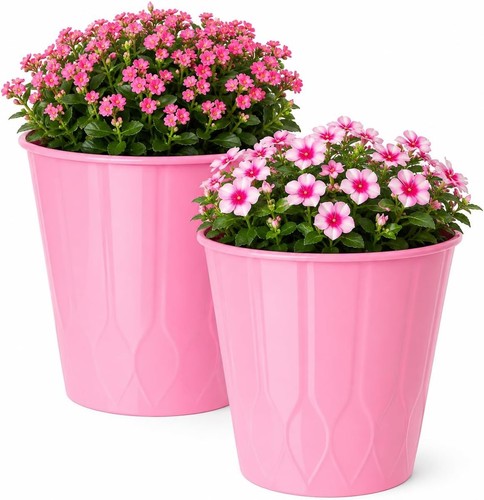 Pink plastic plant pots - plant, of