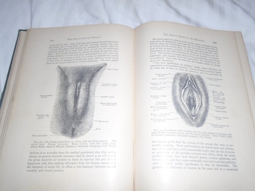 Sexual life woman antique - life,