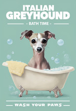 Italian Greyhound in Bath metal sign, Italian Greyhound sign, Greyhound  Plaque